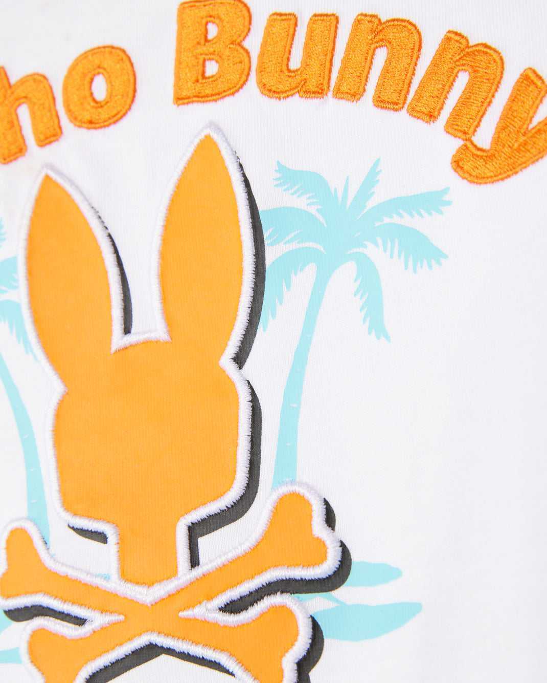 Tees Psycho Bunny Boston Graphic Tee Blanche Enfant | DFD-35475679